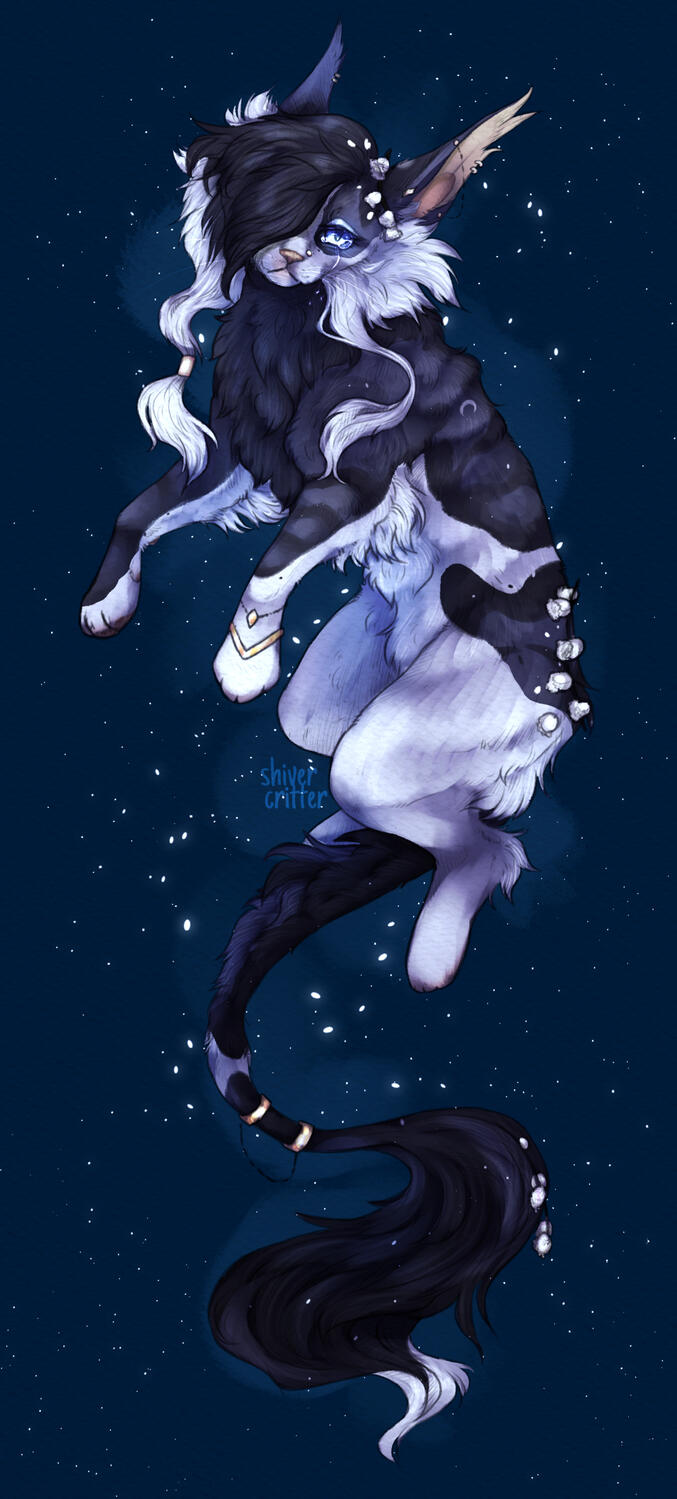 Fullbody