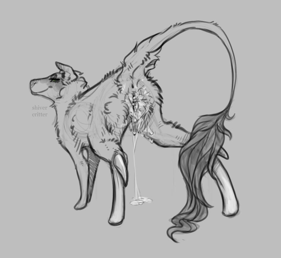 Fullbody with No Background